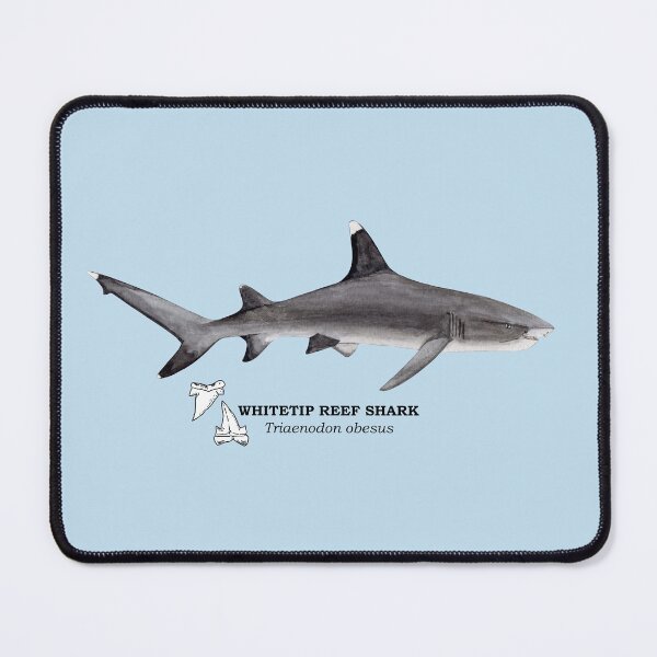 Item preview, WHITETIP REEF SHARK-Triaenodon obesus (name and teeth) designed and sold by BEATRIZ ABAITUA.