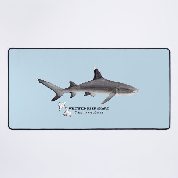 Item preview, WHITETIP REEF SHARK-Triaenodon obesus (name and teeth) designed and sold by BEATRIZ ABAITUA.