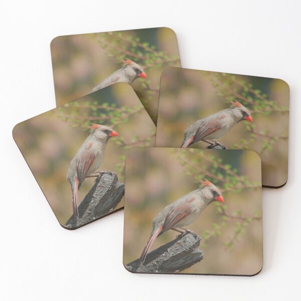 Item preview, A female cardinal on a branch designed and sold by Production Art Manon Meilleur.