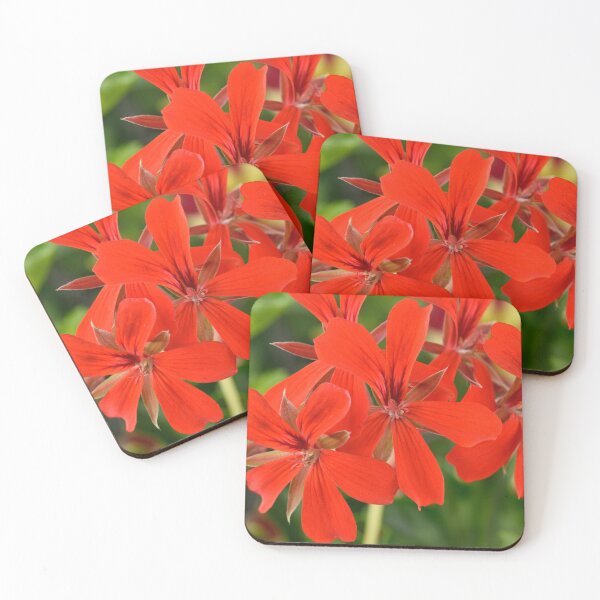 Item preview,  Ivy-leaved Pelargonium  designed and sold by Chris Burrows.