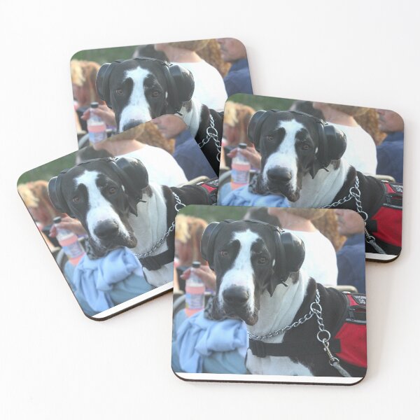 Item preview, Working Dog At An Outdoor Concert - Photograph designed and sold by ConcertImages.