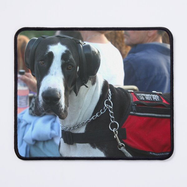 Item preview, Working Dog At An Outdoor Concert - Photograph designed and sold by ConcertImages.