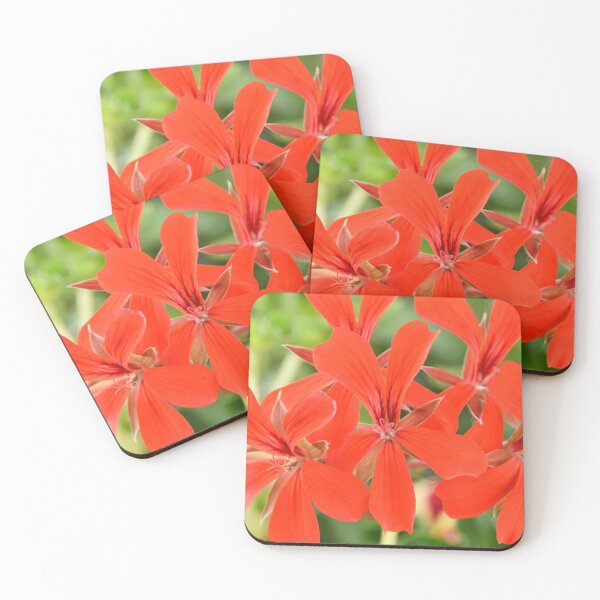 Item preview, Ivy-leaved Pelargonium designed and sold by Chris Burrows.