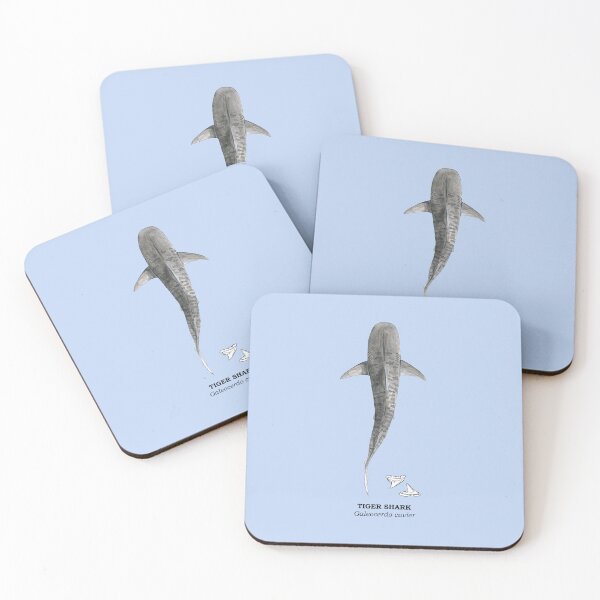 Item preview, TIGER SHARK-Galeocerdo cuvier (above, name and teeth) light blue designed and sold by BEATRIZ ABAITUA.