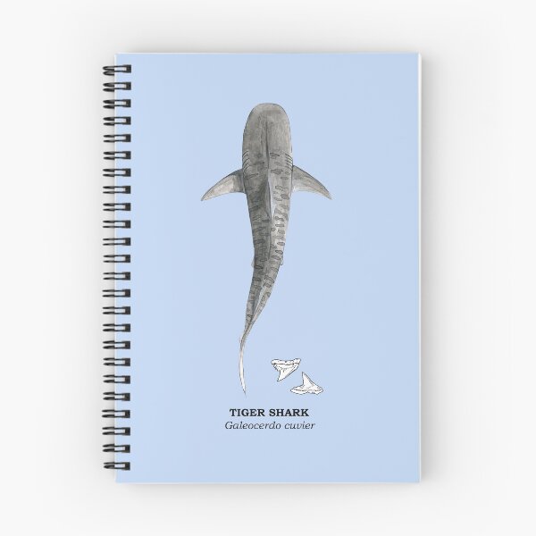 Item preview, TIGER SHARK-Galeocerdo cuvier (above, name and teeth) light blue designed and sold by BEATRIZ ABAITUA.