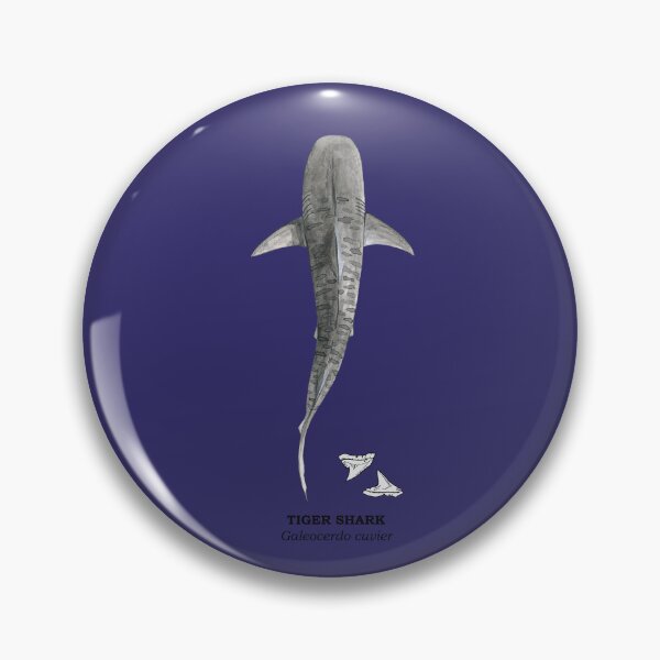 Item preview, TIGER SHARK-Galeocerdo cuvier (above, name and teeth) navy blue designed and sold by BEATRIZ ABAITUA.