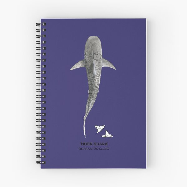 Item preview, TIGER SHARK-Galeocerdo cuvier (above, name and teeth) navy blue designed and sold by BEATRIZ ABAITUA.