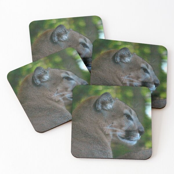 Item preview, Majestic Mountain Lion in Forest designed and sold by MercerImages.