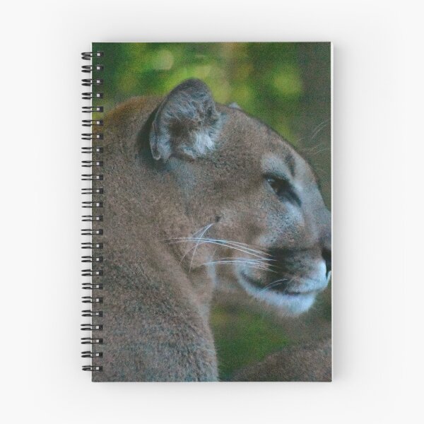 Item preview, Majestic Mountain Lion in Forest designed and sold by MercerImages.