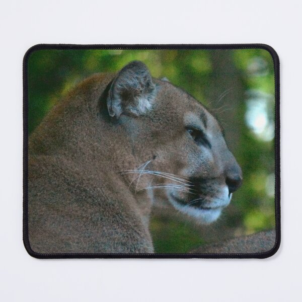 Item preview, Majestic Mountain Lion in Forest designed and sold by MercerImages.