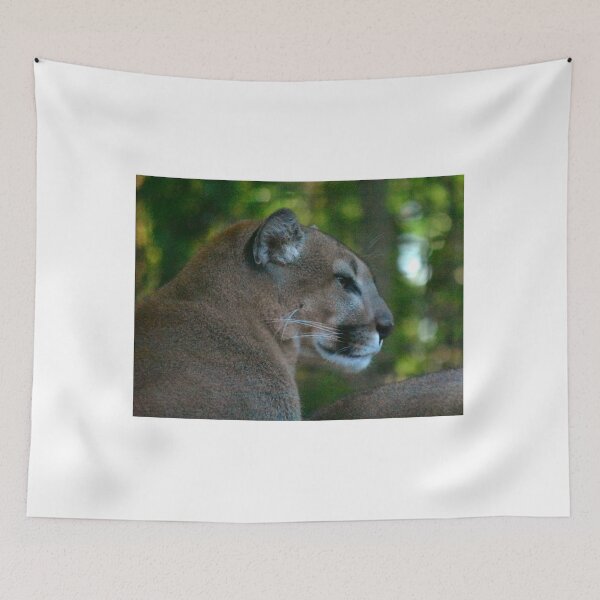Item preview, Majestic Mountain Lion in Forest designed and sold by MercerImages.