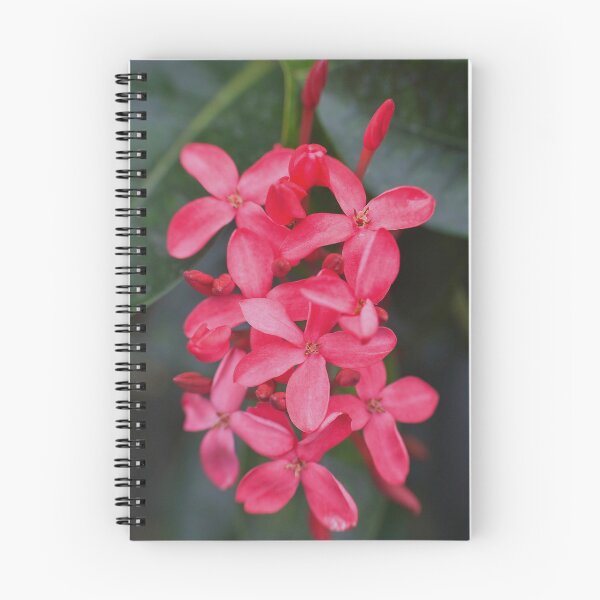 Item preview, Un hermoso ramo de flores tropicales rosas designed and sold by Production Art Manon Meilleur.