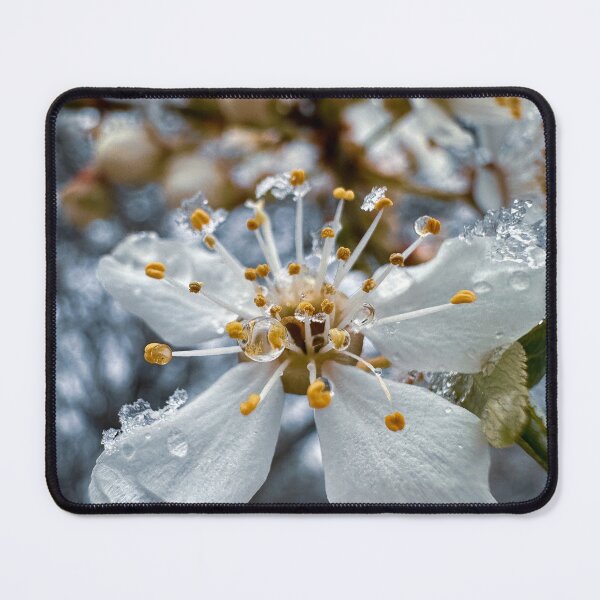 Item preview, snow in blossom april designed and sold by Julia Kovtunyak.