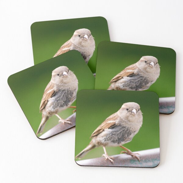 Item preview, Sparrow on railing – nature photography close-up designed and sold by rolfzogg.