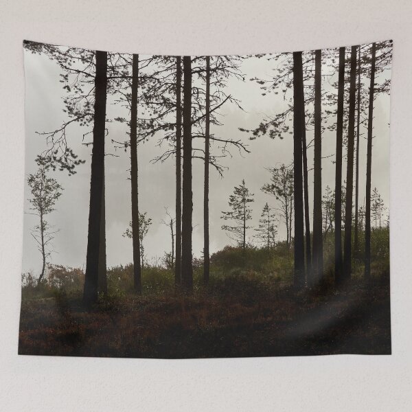 Item preview, The fog. Petajalampi designed and sold by Jouko Lehto Photography.