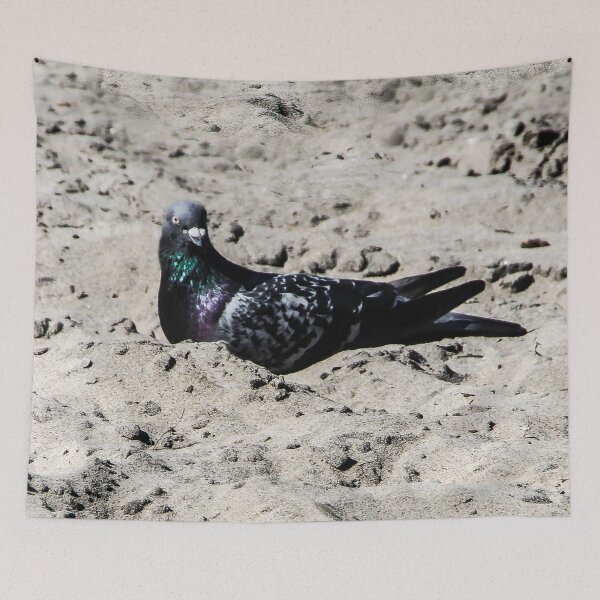 Item preview, Sand Bird designed and sold by heatherfriedman.