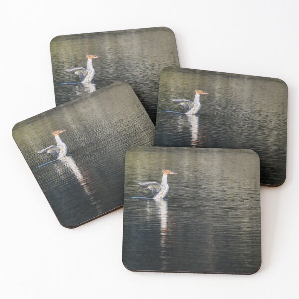 Item preview, Stretch. Common merganser designed and sold by Jouko Lehto Photography.