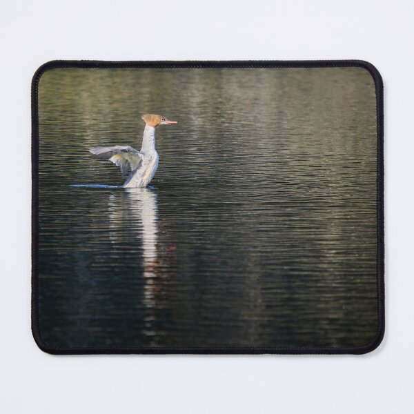 Item preview, Stretch. Common merganser designed and sold by Jouko Lehto Photography.