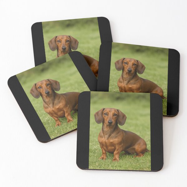 Item preview, Tiny Body, Big Heart – Dachshund Love designed and sold by BlingandGifts.