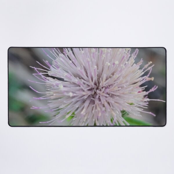 Artikelvorschau, Wildblume entworfen und verkauft von Jmb67.