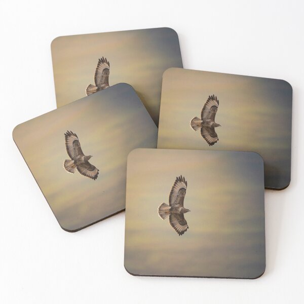 Item preview, Backlit Buzzard in Flight, Loch Na Keal, Isle of Mull Scotland designed and sold by CEastwoodPhotos.
