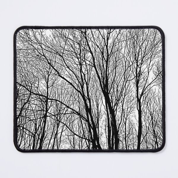 Item preview, Young Autumn ash trees, digital sketch designed and sold by paulboizot.