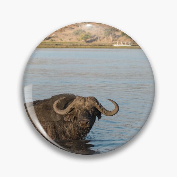 Item preview, Old River King, Cape Buffalo in Chobe Botswana designed and sold by DavideAntoniani.