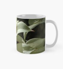 white light flower Mug