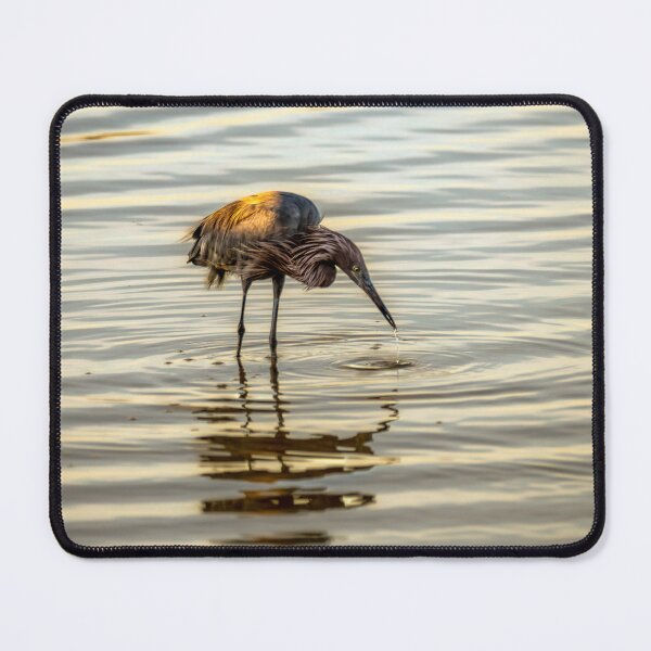 Item preview, Egret Wading in Golden Water designed and sold by Debra Martz.