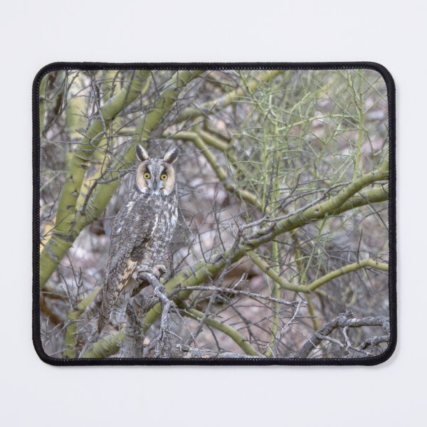 Item preview, Hidden Gem designed and sold by Tom Talbott.