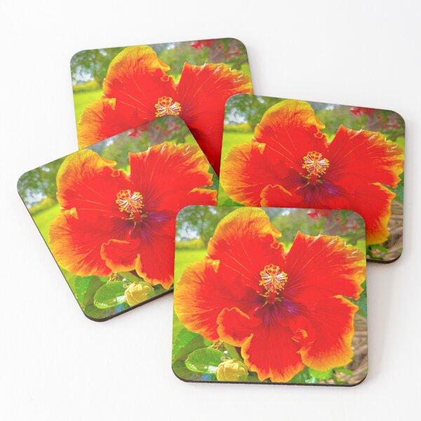 Item preview, Red Hibiscus Flower – Vibrant Tropical Bloom Photography designed and sold by TrisaThyme.