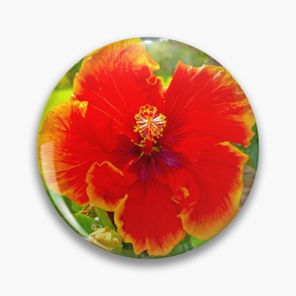 Item preview, Red Hibiscus Flower – Vibrant Tropical Bloom Photography designed and sold by TrisaThyme.