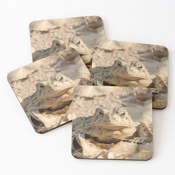 Item preview, Grumpy Toad designed and sold by Tom Talbott.