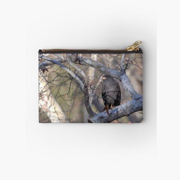 Item preview, Common Blackhawk designed and sold by Tom Talbott.