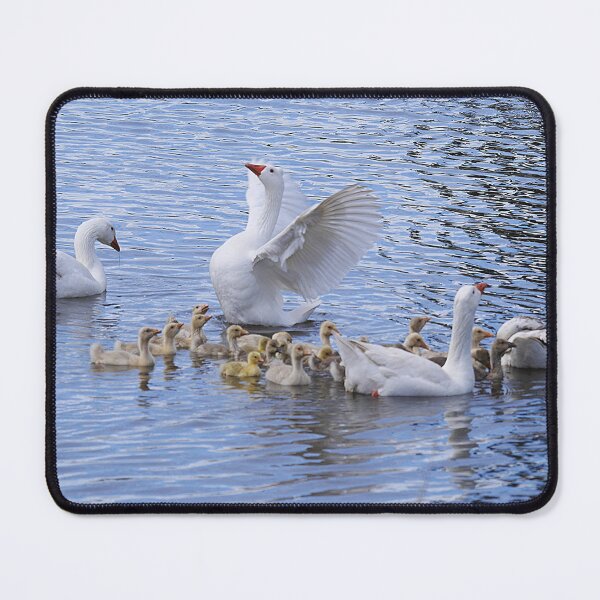 Item preview, Our NEW BROOD of Goslings (2) designed and sold by Larry Davis.