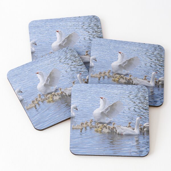 Item preview, Our NEW BROOD of Goslings (2) designed and sold by Larry Davis.