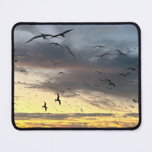 Item preview, Seabirds Return Home designed and sold by Bri-1.