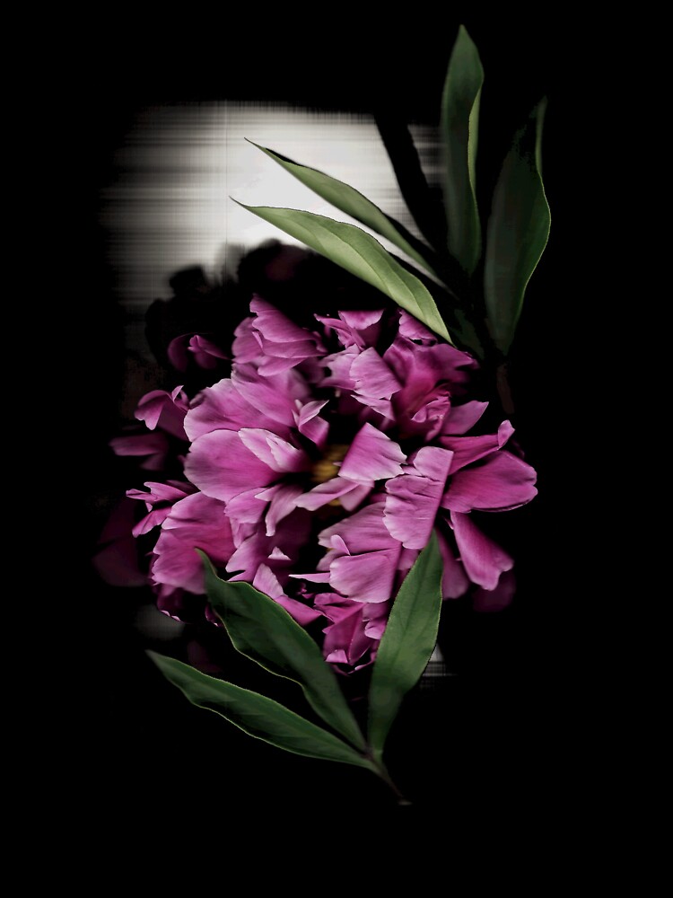 Thumbnail 7 of 7, Oversized T-Shirt, Peony Spotlight 2 Dark Floral designed and sold by LindasPhotoArt.