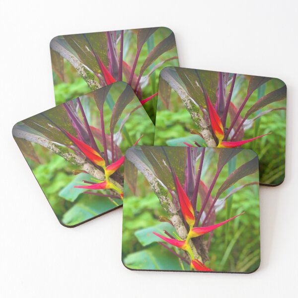 Item preview, Hawaiian Heliconia – Exotic Tropical Flower Photography designed and sold by TrisaThyme.