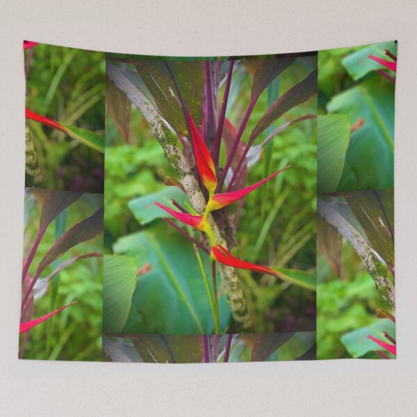 Item preview, Hawaiian Heliconia – Exotic Tropical Flower Photography designed and sold by TrisaThyme.