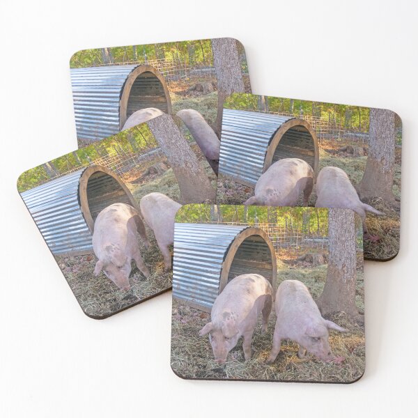 Item preview, Piggies designed and sold by Ruth Curtis.