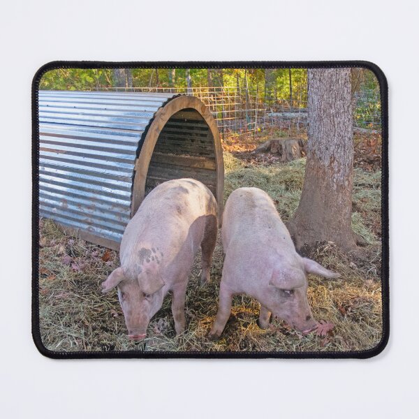 Item preview, Piggies designed and sold by Ruth Curtis.