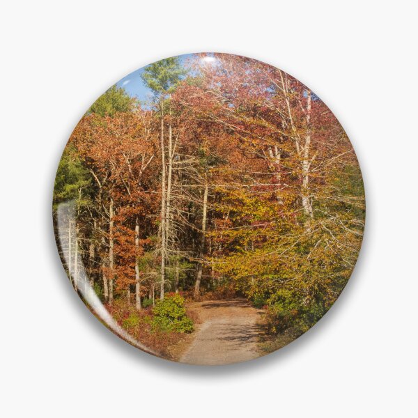 Item preview, Dirt pathway in Autumn designed and sold by Ruth Curtis.