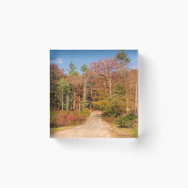 Item preview, Dirt pathway in Autumn designed and sold by Ruth Curtis.