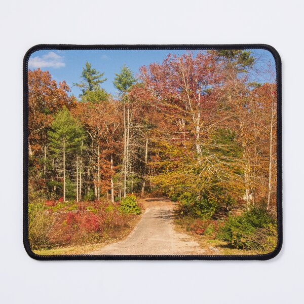 Item preview, Dirt pathway in Autumn designed and sold by Ruth Curtis.