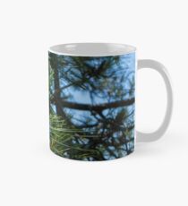 Pine Mug