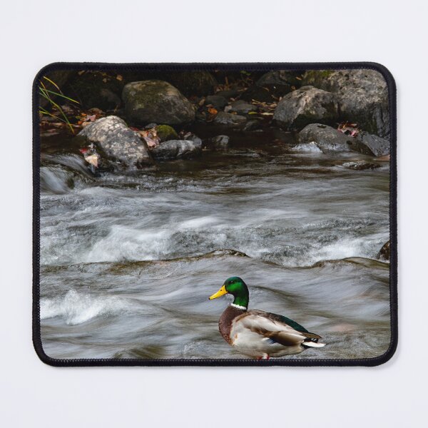 Item preview, Mallard on Lake Rescue designed and sold by srwdesign.