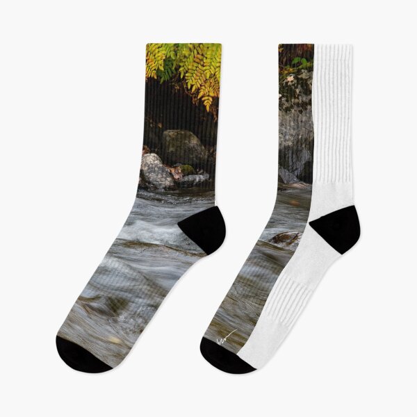 Item preview, Mallard on Lake Rescue designed and sold by srwdesign.