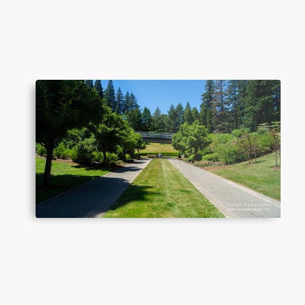 Point of view Metal Print