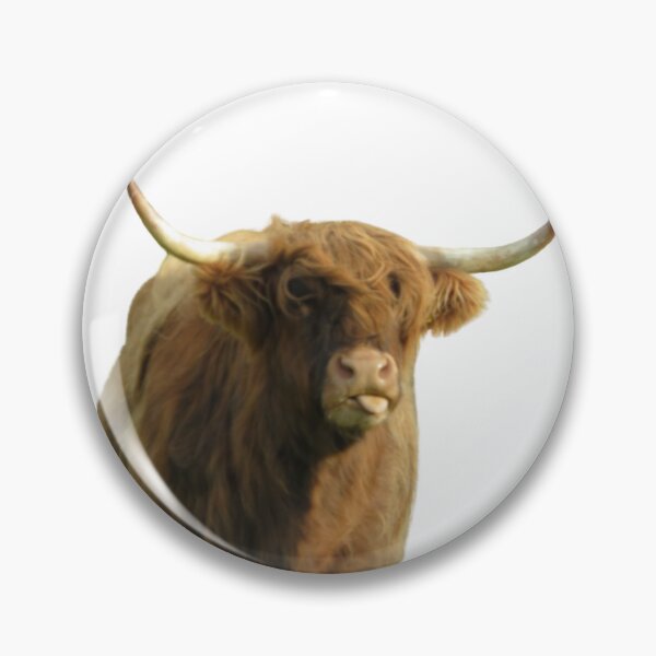 Item preview, Highland Cow sticking out tongue designed and sold by SnapsBySara.
